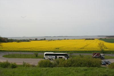 IMG 9476